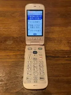 docomo F-01M らくらくホン 折りたたみ式携帯電話 SIMカード無し