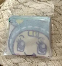 ブルーベリエちゃん　ナルミヤハッピーパーク　クリアフラットポーチ　メゾピアノ