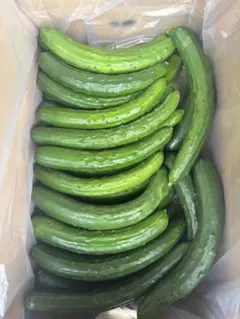 ハウスきゅうり 箱込み約20キロ - メルカリ