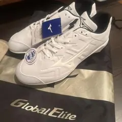 Item thumbnail for item 9efa5a34-a51c-423a-a953-0f9fa70b69da