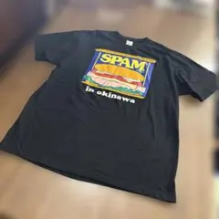 北海道日本ハムファイターズ 水谷瞬 パイナポーTシャツ XLサイズ