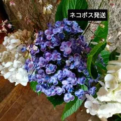 Stark26様 リクエスト 2点 まとめ商品