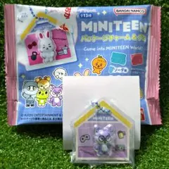 匿名発送 SEVENTEEN MINITEEN パッケージチャーム&グミ ウォヌのサムネイル