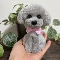 動物ぽんぽん　トイプードル　薄いグレー