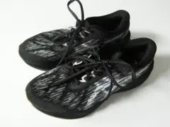 ランナー様用【送料無料】アシックス／NOBABLAST３　25.0ｃｍ