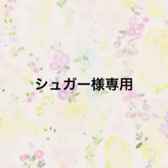 シュガー様専用★おまとめ６点のサムネイル
