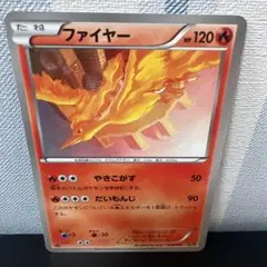 TCM様 リクエスト 2点 まとめ商品