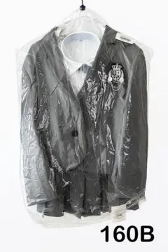 Item thumbnail for item 59d3ae99-c686-44c2-bba0-819483e75d00