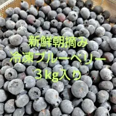 秋田県産 完全無農薬 ブルーベリー 3キロ - メルカリ