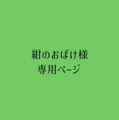 専用ページ