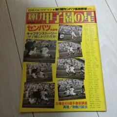 Item thumbnail for item 7e3953a6-2975-4546-8c6e-e0f62b73e0e8