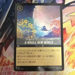 ディズニー ロルカナ A Whole New Worldホール・ニュー・ワールド