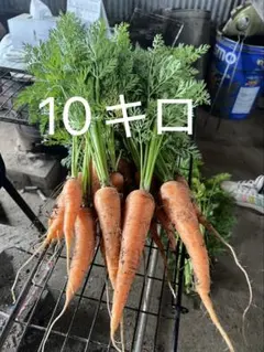 農薬、肥料不使用にんじん 10kgのサムネイル