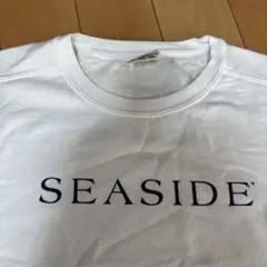 激レア　90s 00s SEASIDE ヴィンテージスウェット 古着のサムネイル