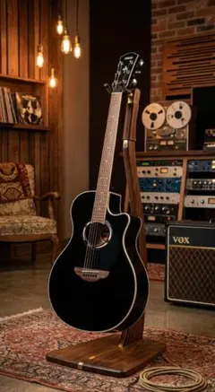 2026年最新】apx ギター 長渕剛の人気アイテム - メルカリ