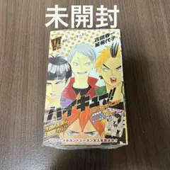 ハイキュー!! ショーセツバン‼︎ VI 6巻