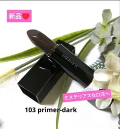 【新品】カネボウ Nルージュ103 primer-dark♥のサムネイル