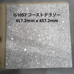 ◇太古がつまった、海の米◇【フズリナ/紡錘虫】 岐阜産 フズ5 - メルカリ