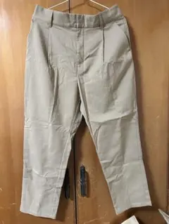 earth music & ecology premium labelチノパン