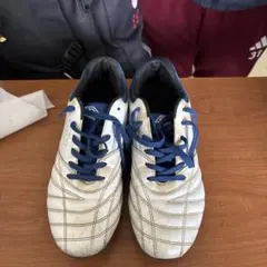 Item thumbnail for item 519a1b5b-dbcd-407a-991c-f6681a920e97