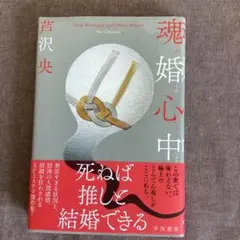 魂婚心中