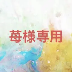 苺様確認専用ページ【取り置き中　5月23日まで】