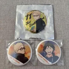 ハイキュー‼︎ 月島蛍 山口忠 缶バッジ 3個セット