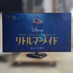 新品 CASIO 防水液晶テレビ 防水リモコン付 お風呂テレビ SY-600
