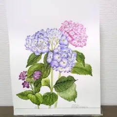 絵画 アクリル画 原画 『紫陽花』 - メルカリ