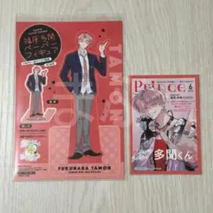 多聞くん今どっち!? イラストカード　ペーパーフィギュア　多聞　TSUTAYA