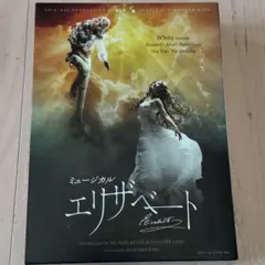 宝塚雪組 エリザベート DVD 一路真輝 花總まり - メルカリ