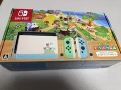 任天堂Switch あつまれどうぶつの森　ver.
