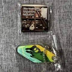 北海道大学総合博物館 マグネット キーホルダー セット