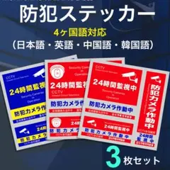 防犯ステッカー 3枚 カメラ型 セキュリティー ステッカー 防犯対策 防犯シールのサムネイル