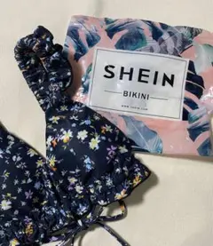 Item thumbnail for item e62d8ee7-7f1f-45e1-a217-0da6ac697a12