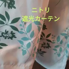 レースカーテン150