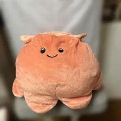 ぼく、メンダコ　ぬいぐるみ　めんたろう アミューズメント