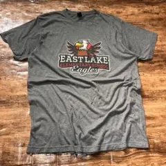 【レア両面】US古着 カレッジ風 Tシャツ グレー 鷲 イーグル L PRIDE