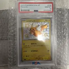 2026年最新】シャイニーコレクション ピカチュウ psa10の人気アイテム