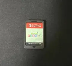Nintendo Switch あつまれどうぶつの森　カセット