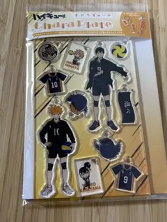 2025年最新】ハイキュー!! キャラプレート 烏野高校の人気アイテム