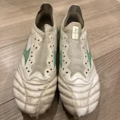 モレリアベータ緑色