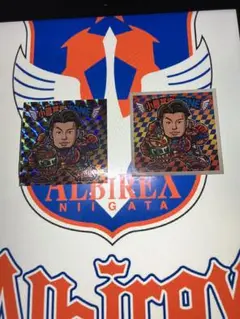 ビッグスワンシール