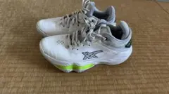 ASICS NOVA SURGE バスケットボールシューズ　インソールなしのサムネイル