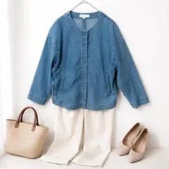 PAUL&JOE SISTER♡デニムジャケット ノーカラー 薄手 36 M相当