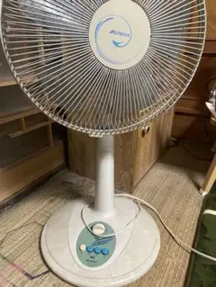 Item thumbnail for item 44aadc77-1d30-452d-a505-48653c06d3dc