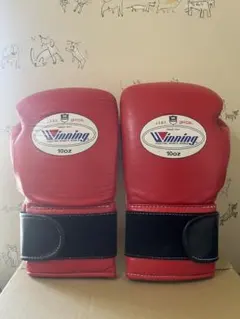 Item thumbnail for item fd81dd61-e295-43b0-8240-1392e194a21b