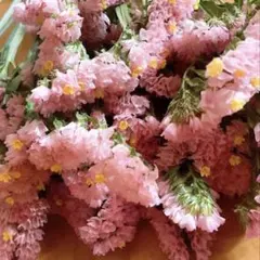 kiki様 リクエスト 4点 まとめ商品