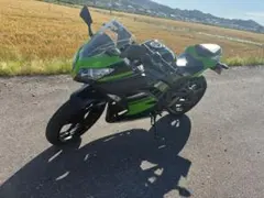 タイヤ新品 車検付 ninja400 EX400G 黒金 フルカスタム 美車 - メルカリ