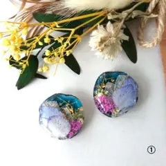 《はたはた様ご依頼品②》イヤリング